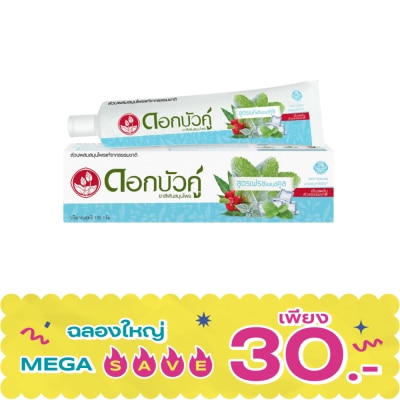 Twin Lotus - ดอกบัวคู่ ยาสีฟันสมุนไพร เฟรช แอนด์ คลู 150 กรัม image