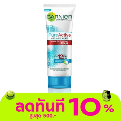 Garnier Garnier Pure Active Foam 100 Ml. image