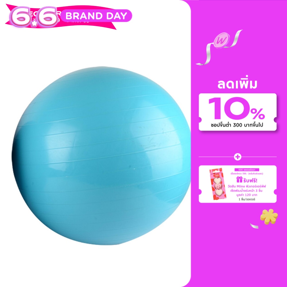 Watsons Anti-brust Gym ball 65cm. With Pump.