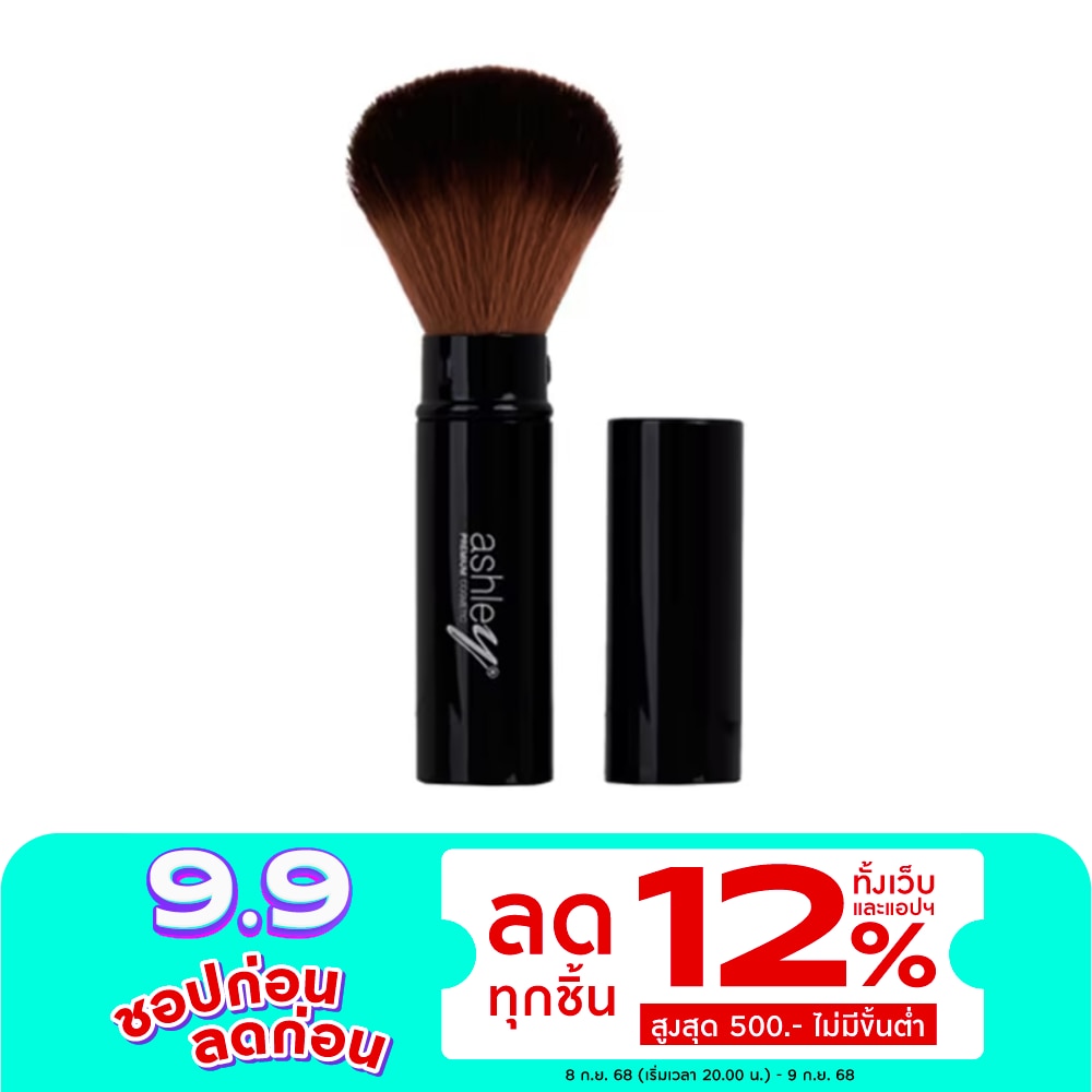 Ashley Rotating Brush 1Pcs AA160 Black