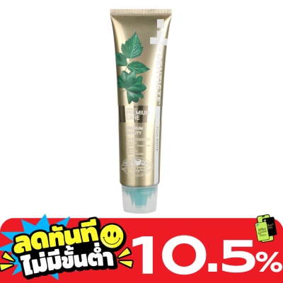 Dentiste เดนทิสเต้ ยาสีฟัน พรีเมียม แคร์ 100 กรัม image