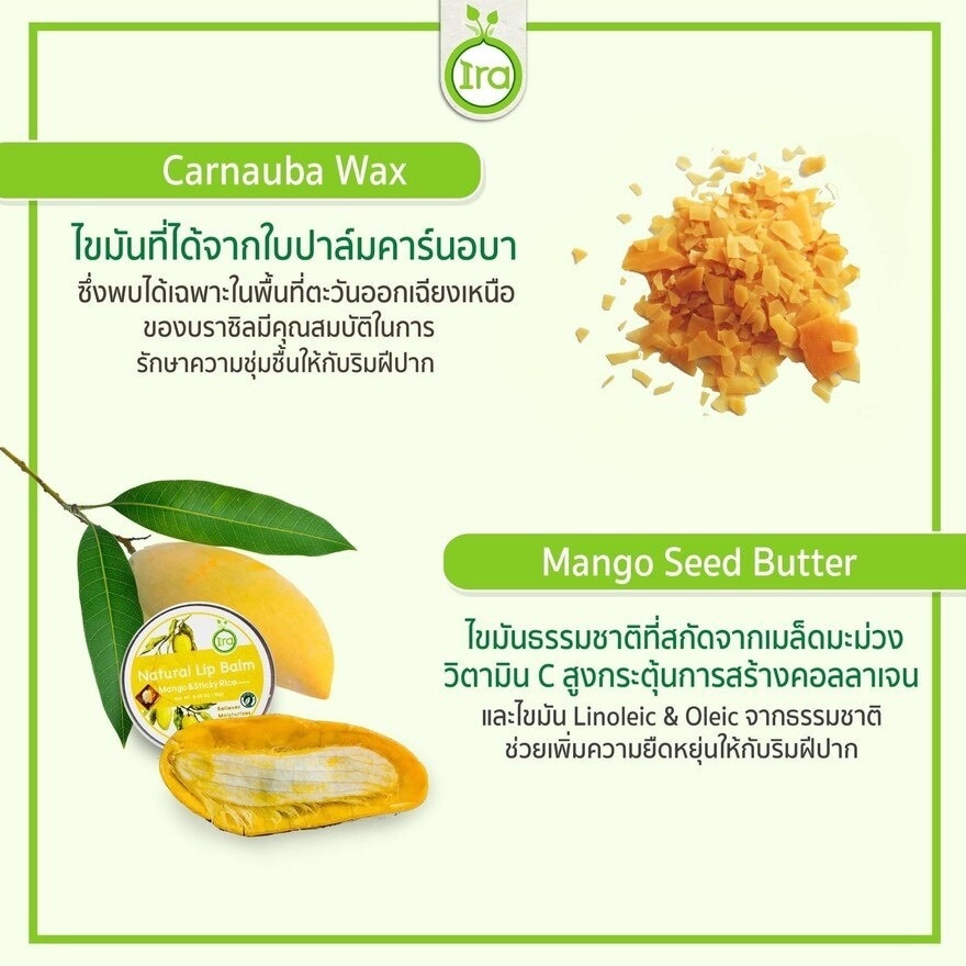 ไอรา ลิปบาล์ม แบบตลับ กลิ่นข้าวเหนียวมะม่วง 10ก.