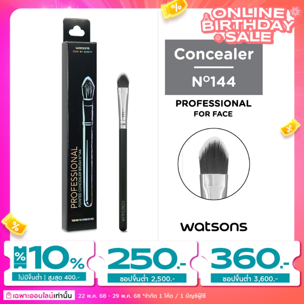 Watsons Pointed Concealer Brush