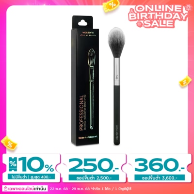 Watsons Watsons Detailed Highlighter Brush