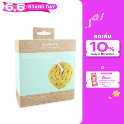 Watsons - Watsons Sea Sponge