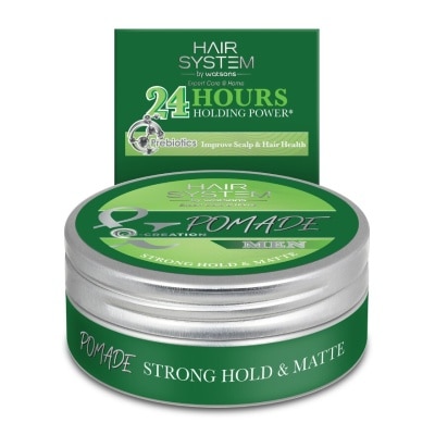 Hair System by Watsons Hair System By Watsons Pomade Strong Hold  Matte 75g