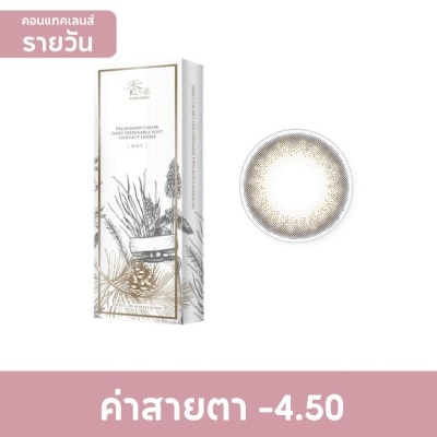 Pegavision Pegavision Daily Kaori Laurel Brown -4.50 (10 pcs)