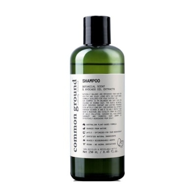 Common Ground - Common Ground Naturally Balanced  Replenished Shampoo 250 ml. Botanical Scent  Avocad image