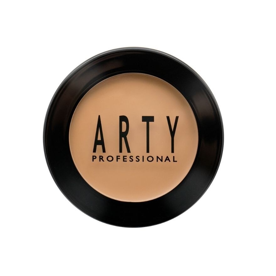 Arty Real Control Concealer 4g. C1