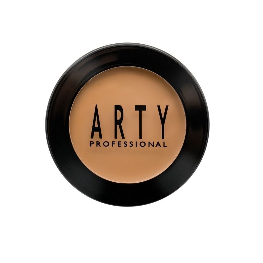 Arty Real Control Concealer 4g. C3
