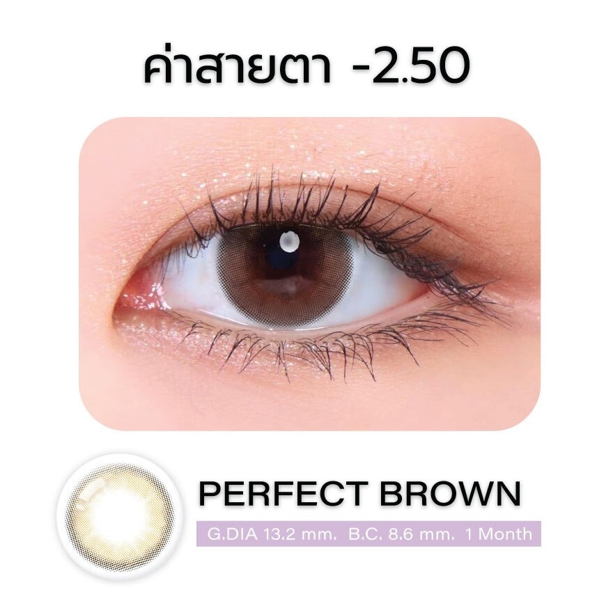 แกลม คอนแทคเลนส์ รายเดือน สี Perfect Brown -2.50 (2 ชิ้น)