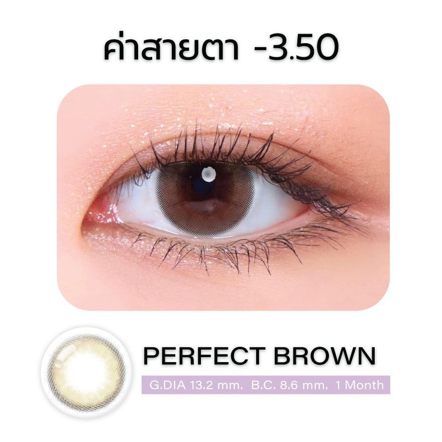 แกลม คอนแทคเลนส์ รายเดือน สี  Perfect Brown -3.50 (2 ชิ้น)