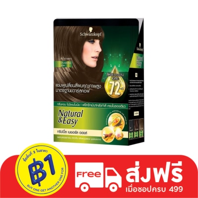 Natural & Easy Natural  Easy Hair Color Shampoo Stunning Ash 6'S