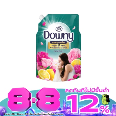 Downy - Downy Concentrated Fabric Softener Indoor Dry Refill 1 L. image