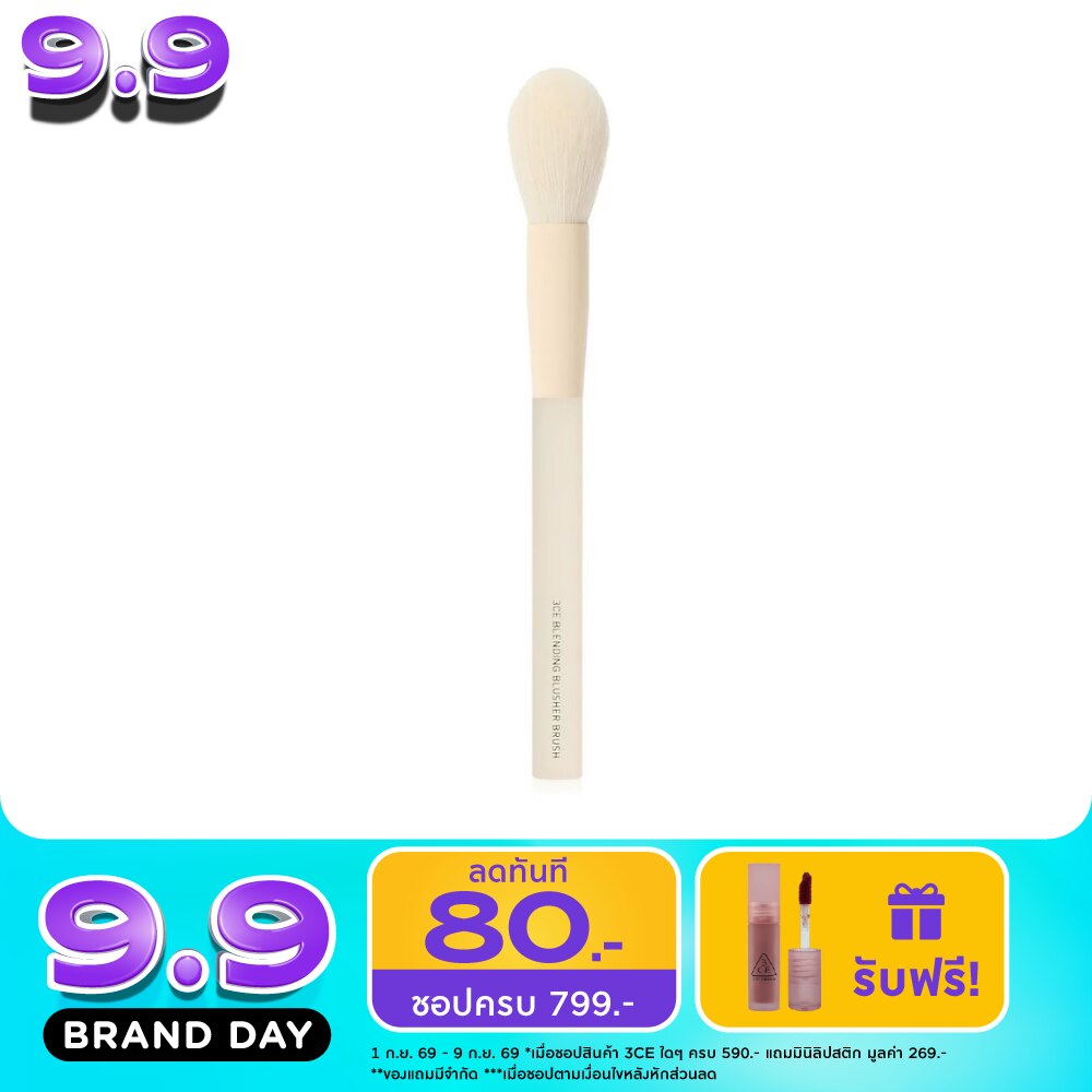 3CE Blending Blusher Brush 1pcs. image